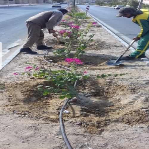 گالری تصاویر